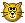 :cat2: